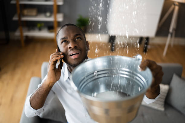 Best Sewage cleanup and water damage restoration  in Hesston, KS