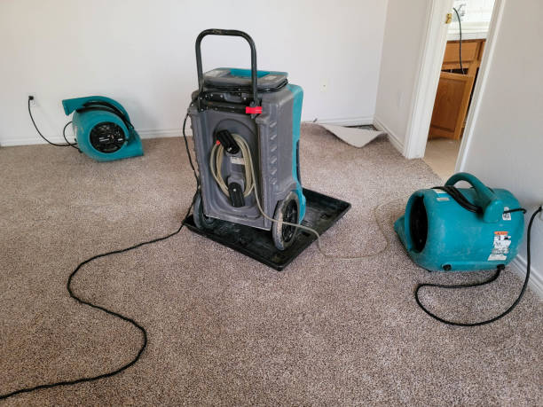 Best Professional water damage repair  in Hesston, KS