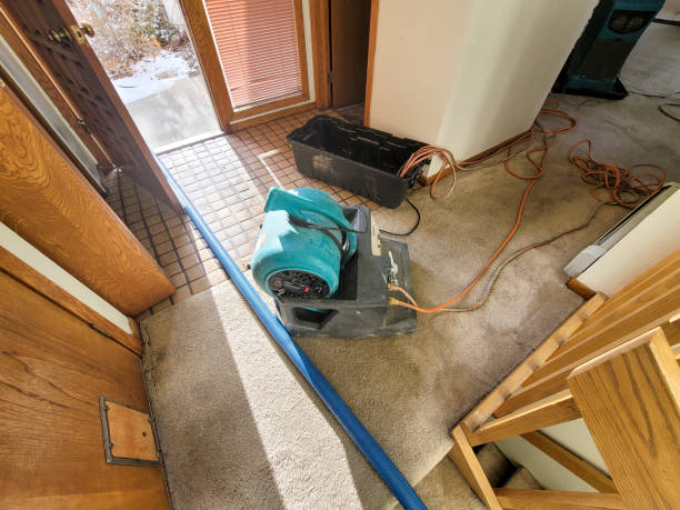 Best Commercial water damage restoration  in Hesston, KS