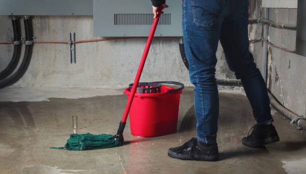 Best Water damage cleanup near me  in Hesston, KS