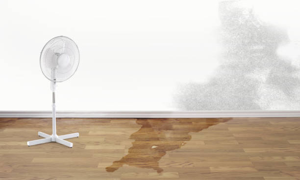Best 24/7 water damage repair  in Hesston, KS