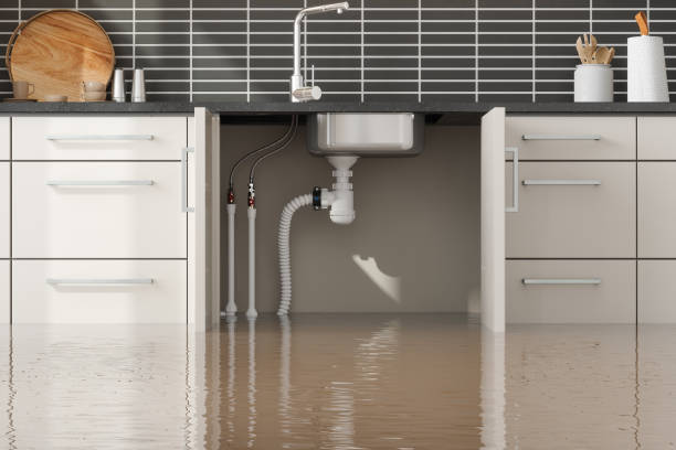 Best 24/7 water damage repair  in Hesston, KS