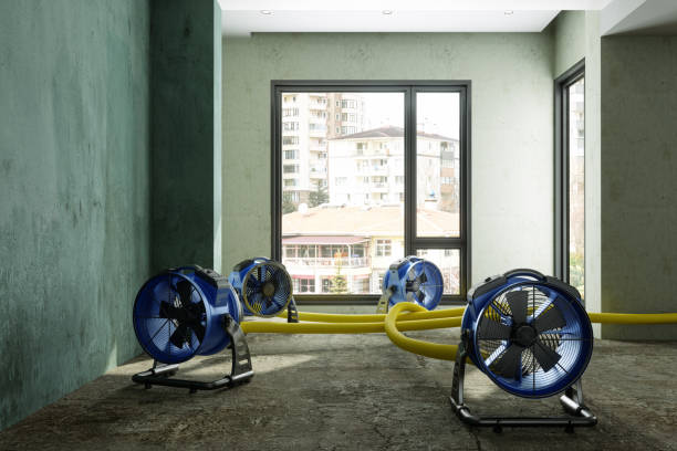 Best Water damage restoration mold remediation  in Hesston, KS